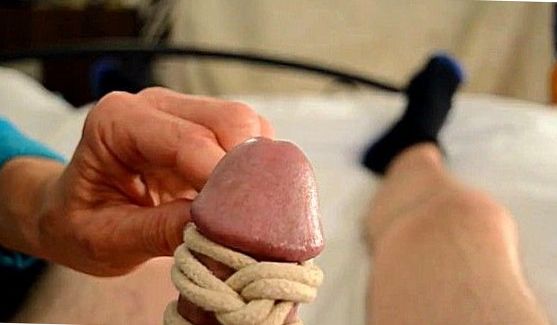 Похотливые служанки Lorelei Lee и Sophie Dee, порно видео